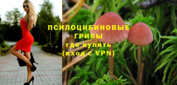 метадон Алексин