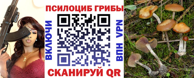 Псилоцибиновые грибы Magic Shrooms  Оханск 